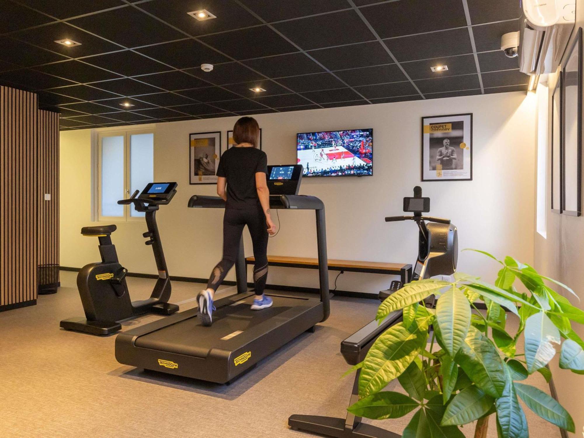 Ibis Styles En Velay Hotel 3*